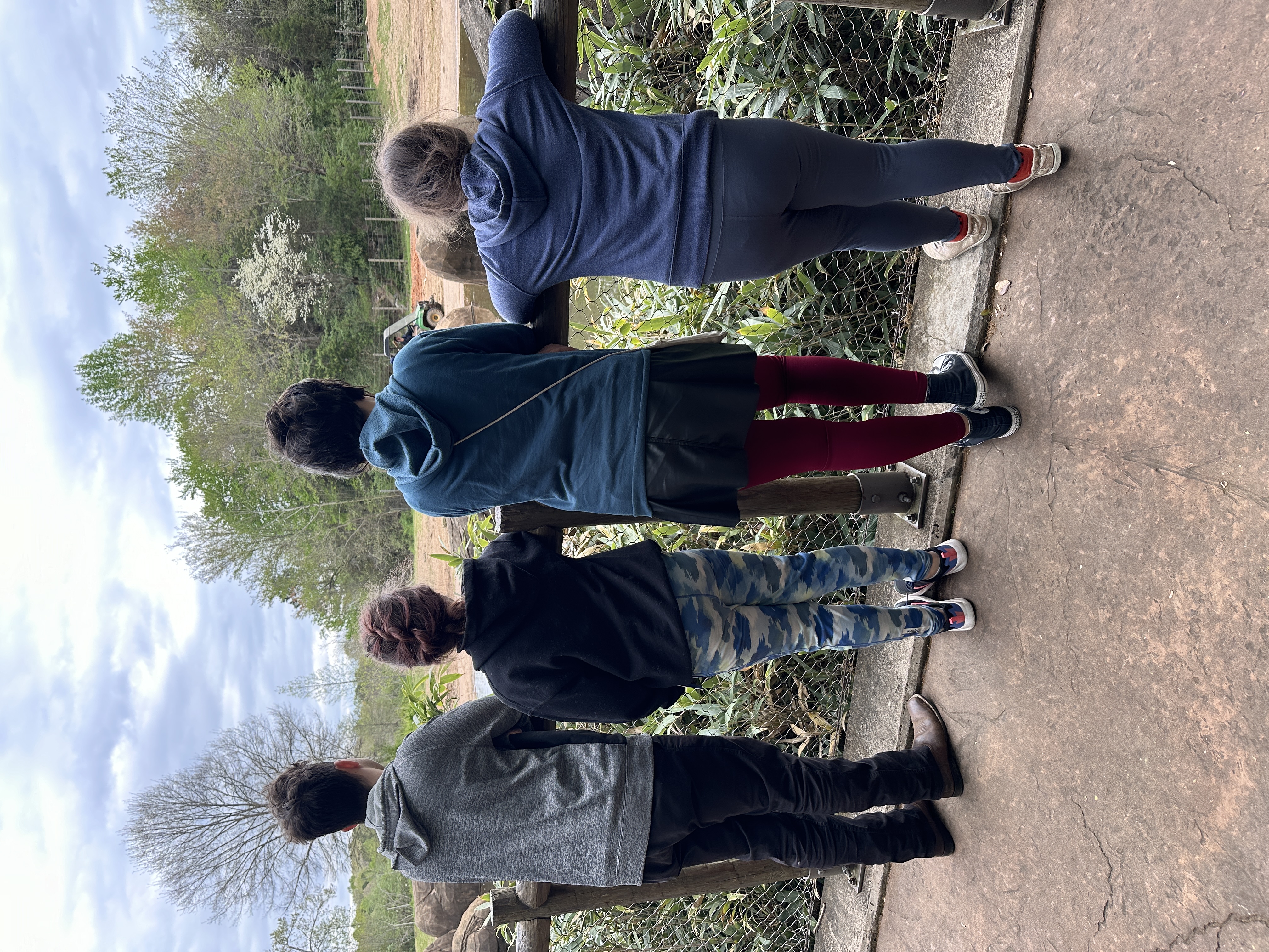 Family Zoo